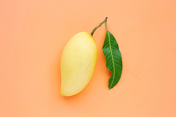 포토 JPG 해외이미지 잎 실내 사람없음 한개 열대과일 망고 주황색배경 해외포토 식물 1 백그라운드 과일 내부 주황색 파일형식 이미지허브