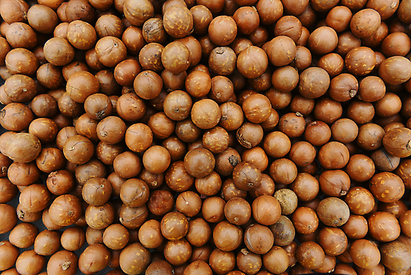 포토 JPG 해외이미지 식물 계절 음식 백그라운드 농업 다이어트 과일 재료 자연 건조 건강 씨앗 사람없음 목재 갈색 견과류 수확 껍질 흰색 신선 그룹 균열 굽기 먹기 유기농 질감 알맹이 날것 흙더미 내추럴 깨짐 단백질 숙성 절임 채식주의자 많음 해외포토 나무 웰빙 산업 컬러 컨셉 모션 흙 구이 생태계 채식 영양소 파일형식 더미 이미지허브