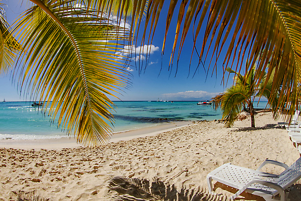 포토 JPG 해외이미지 나무 구름 모래 파도 바다 섬 여행 의자 자연 하늘 휴가 항해 손바닥 풍경 사람없음 야외 물 여름 파란색 햇빛 태양 평화 보트 에메랄드 공화국 이국적 파라다이스 해외포토 자연요소 식물 손 계절 나라 컬러 가구 컨셉 배_교통 보석 생태계 파일형식 이미지허브