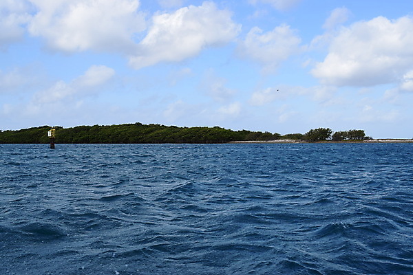 포토 JPG 해외이미지 나무 모래 바다 섬 여행 자연 하늘 휴가 손바닥 풍경 사람없음 야외 물 여름 파란색 야자수 맑음 흰색 휴양지 코코넛 카리브해 이국적 파라다이스 수평선 해외포토 자연요소 식물 손 계절 컬러 과일 날씨 장소 생태계 파일형식 이미지허브