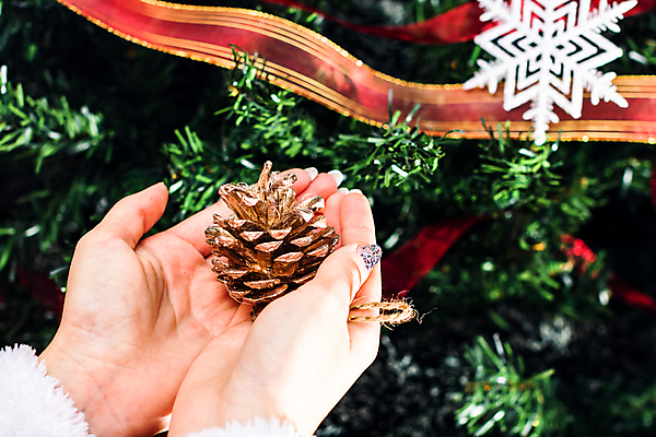 포토 JPG 해외이미지 나무 전통 계절 백그라운드 컨셉 크리스마스 겨울 공 휴가 전등 새로움 기념 매달리기 사람없음 장식 빨간색 초록색 빛 크리스마스트리 축제 장식볼 흰색 나뭇가지 축하 소나무 눈송이 12월 연도 침엽수 고립 핸드메이드 해외포토 식물 기념일 컬러 모션 조명 눈_날씨 날짜 파일형식 이미지허브