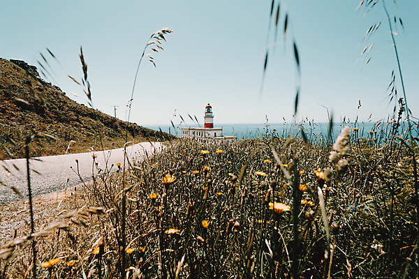 포토 JPG 해외이미지 꽃 바다 여행 지도 자연 하늘 아침 파노라마 사람없음 가로 빛 햇빛 태양 평화 일출 황혼 줄무늬 도움 보호 저녁 신호등 모래언덕 방향 서비스 북쪽 마법 수평선 카피스페이스 해외포토 주간 자연요소 식물 컨셉 무늬 촬영기법 노을 일몰 공백 야간 언덕 생태계 파일형식 이미지허브