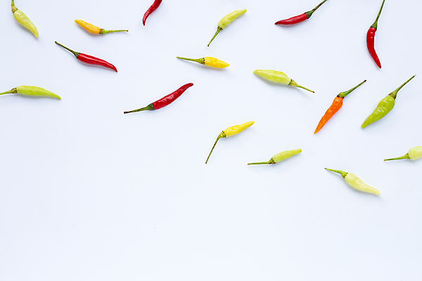 포토 JPG 해외이미지 백그라운드 채소 식재료 고추 실내 사람없음 신선 흰배경 칠리고추 카피스페이스 해외포토 내부 공백 흰색 파일형식 이미지허브