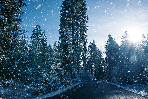 포토 JPG 해외이미지 계절 도로 조각 여행 크리스마스 자국 자연 아침 날씨 거리 사람없음 목재 파란색 햇빛 평화 환경 얼음 침묵 차도 흰색 소나무 숲 통로 서리 장면 공상 온도 천국 눈보라 루트 방법 삼림지대 폭설 해외포토 주간 자연요소 나무 기념일 길 컬러 컨셉 재료 교통시설 눈_날씨 태양 소리 자연재해 생태계 파일형식 이미지허브