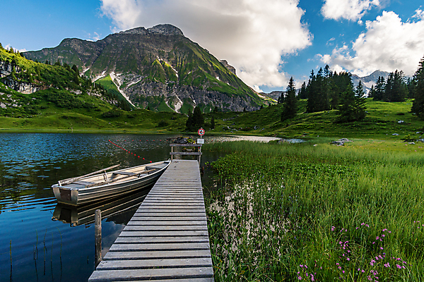 포토 JPG 해외이미지 꽃 호수 여행 가족 자연 휴가 산 파노라마 사람없음 야외 햇빛 산책 트래킹 하이킹 시골 체험 오스트리아 보호 정상 알프스 절정 해외포토 식물 유럽 컨셉 관계 레저 휴식 촬영기법 태양 생태계 파일형식 이미지허브
