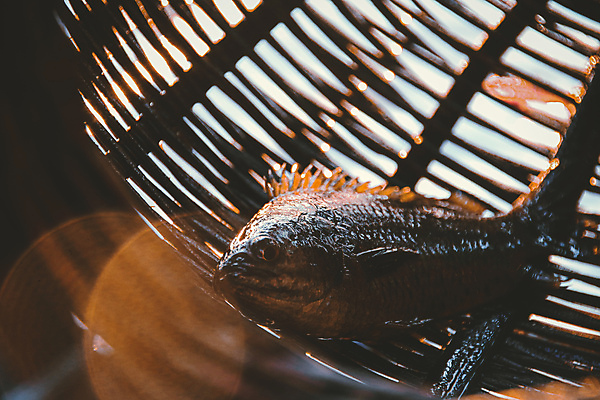 포토 JPG 해외이미지 전통 라이프스타일 아시아 패턴 낚시 어류 동양인 사람없음 야외 물 경제 바구니 환경 동남아시아 장비 시골 닫기 질감 캄보디아 짜임 내추럴 인도차이나반도 핸드메이드 해외포토 자연요소 나라 무늬 모션 레저 인종 생활 수중동물 파일형식 이미지허브