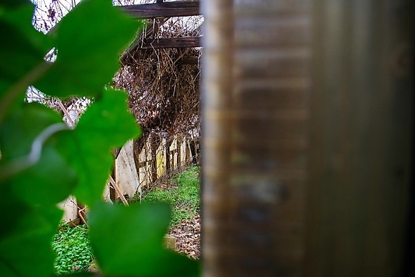 포토 JPG 해외이미지 전신 산업 비즈니스 창문 자연 유리 날씨 주택 실내 사람없음 가로 초록색 컬러풀 금속 손상 에너지 탐험 수확 황폐 신비 버리기 부식 폐허 원예 복고 구식 깨짐 밭일 옛날 온실 해외포토 컬러 컨셉 농업 모션 재질 취미 내부 건물 생태계 파일형식 이미지허브