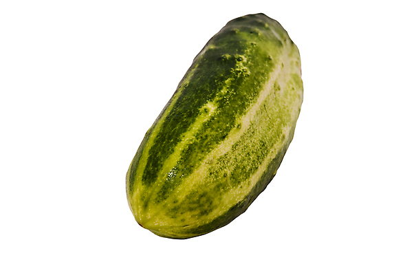 포토 JPG 해외이미지 식물 1 라이프스타일 음식 백그라운드 다이어트 채소 재료 자연 오이 건강 사람없음 초록색 주방 정원 샐러드 흰색 신선 맛 먹기 오브젝트 싱글 상쾌 유기농 날것 내추럴 고립 숙성 채식주의자 비건 해외포토 웰빙 감정 컬러 컨셉 모션 생활 생태계 채식 파일형식 이미지허브