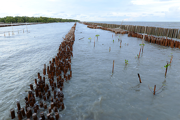 포토 JPG 해외이미지 선 파도 바다 태국 자연 조류 하늘 동양인 풍경 사람없음 야외 목재 환경 줄무늬 거품 습지 대나무 시멘트 정리 자수 빈털터리 썩음 옛날 줄서기 해외포토 나무 동물 아시아 무늬 재료 모션 인종 생태계 파일형식 이미지허브