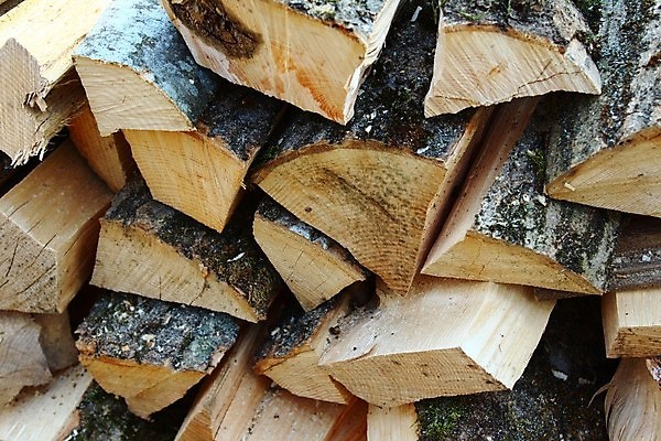 포토 JPG 해외이미지 나무 백그라운드 자연 사람없음 목재 갈색 쌓기 숲 장작 자르기 해외포토 식물 컬러 재료 모션 생태계 파일형식 이미지허브