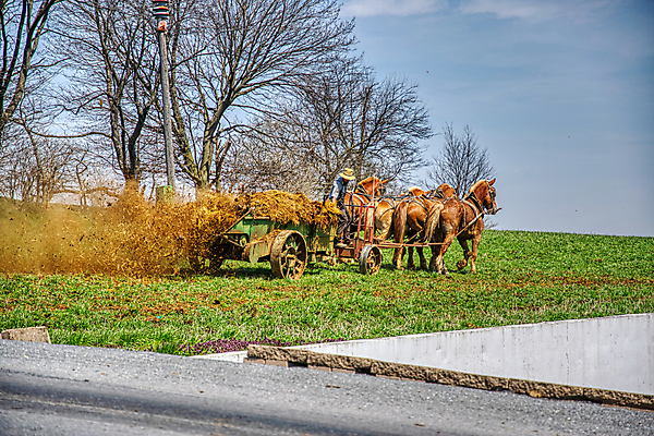 포토 JPG 해외이미지 식물 동물 전통 계절 문화 음식 밭 농업 가족 자연 하늘 옥수수 사람 사람없음 초록색 농장 갈색 기계 봄 수확 덮개 시골 업무 재산 농부 땅 내추럴 거름 땅바닥 밭일 해외포토 직업 산업 컬러 관계 곡류 바닥 금융 뚜껑 작업 생태계 파일형식 이미지허브