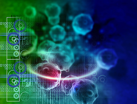포토 JPG 해외이미지 모양 디자인 과학 백그라운드 일러스트 추상 미래 세포 기술 건강 사람 사람없음 약 3D 디지털 스크린 인포그래픽 원형 질병 사이버 뇌 생물학 암 안녕 인터페이스 종양 해외일러스트 도형 교육 컨셉 무늬 의학 인사 디지털합성 파일형식 이미지허브