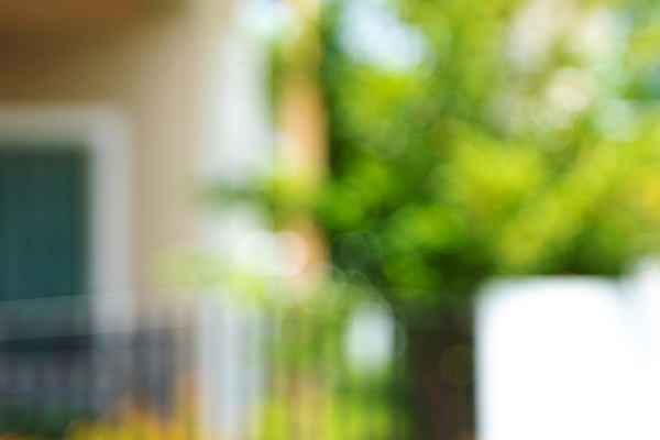 포토 JPG 해외이미지 식물 디자인 배너 공원 백그라운드 잎 자연 아침 추상 전등 파노라마 풍경 사람없음 야외 건물 아웃포커스 가로 초록색 여름 파란색 빛 도시풍경 컬러풀 환경 정원 맑음 웹 봄 회색 흰색 도시 소프트포커스 질감 보케 부드러움 내추럴 블러 헤딩 효과 해외포토 주간 건축물 계절 공공시설 컬러 무늬 인터넷 날씨 조명 촬영기법 축구 감각 생태계 파일형식 이미지허브