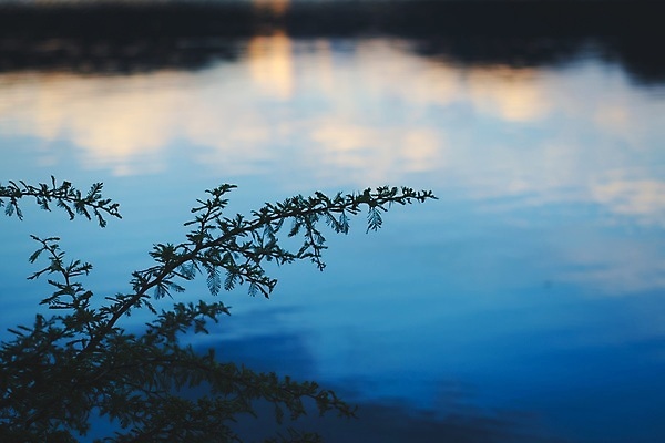 포토 JPG 해외이미지 식물 실루엣 호수 백그라운드 자연 사람없음 야외 물 파란색 반사 침묵 황혼 새벽 나뭇가지 액체 저녁 아르헨티나 내추럴 민물 카피스페이스 해외포토 자연요소 나무 컬러 촬영기법 소리 일몰 공백 남아메리카 야간 생태계 파일형식 이미지허브