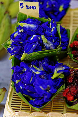 포토 JPG 해외이미지 식물 전통 디자인 꽃 아시아 종교 문화 꽃다발 여행 백그라운드 꽃무늬 불교 태국 자연 휴가 미술 동양인 사람없음 장식 컬러풀 장미 노란색 상점 축제 동남아시아 벚꽃 축하 신선 사찰 시장 배열 방콕 희생 해외포토 나라 컬러 컨셉 무늬 종교건축 문화예술 인종 생태계 파일형식 이미지허브