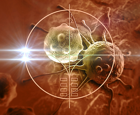 포토 JPG 해외이미지 의학 세포 사람없음 갈색 3D 질병 디지털합성 암 종양 해외포토 컬러 파일형식 이미지허브