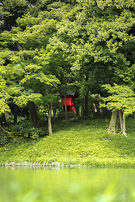 포토 JPG 해외이미지 주간 나무 구름 꽃 종교 호수 단풍 잎 불교 자연 하늘 아침 휴식 연꽃 풍경 사람없음 야외 건물 초록색 물 파란색 반사 새싹 정원 일본 봄 조약돌 소나무 체리 영혼 도쿄 조경 화단 분재 사당 웅장함 해외포토 자연요소 식물 건축물 계절 아시아 컬러 컨셉 과일 돌_바위 생태계 파일형식 이미지허브