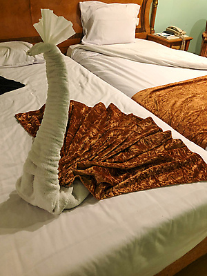 포토 JPG 해외이미지 베개 호텔 실내 사람없음 바캉스 수건 침실 이불 침대 공작 유선전화기 서랍장 호캉스 해외포토 가구 침구 조류 숙소 휴가 내부 위생용품 전화기 파일형식 이미지허브