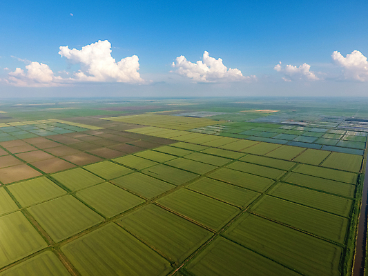 포토 JPG 해외이미지 길 호수 줄기 농업 자연 밥 바닥 안테나 풍경 사람없음 초록색 물 농작물 농장 농경지 새싹 정원 경작 시골 거친 정상 홍수 시리얼 운하 시스템 거름 배수구 논밭 묘목 밭일 해외포토 자연요소 나무 식물 산업 음식 컬러 밭 통신 논 농사 자연재해 생태계 파일형식 이미지허브