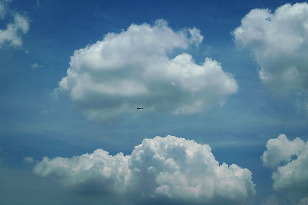 포토 JPG 해외이미지 구름 백그라운드 패턴 모션 자연 벽지 하늘 바람 날씨 추상 풍경 사람없음 야외 여름 파란색 빛 햇빛 태양 환경 침묵 봄 활발 자유 흰색 분위기 질감 장면 천국 내추럴 깊이 몽환 해외포토 자연요소 계절 컬러 컨셉 무늬 소리 생태계 파일형식 이미지허브