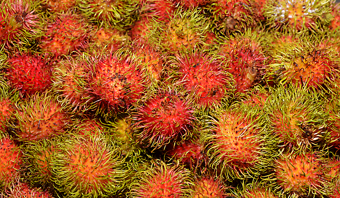 포토 JPG 해외이미지 나무 식물 계절 아시아 음식 백그라운드 농업 다이어트 과일 재료 태국 자연 디저트 건강 씨앗 동양인 사람없음 빨간색 초록색 농작물 컬러풀 농장 수확 신선 시장 달콤 맛 다발 먹기 피부 유기농 질감 날것 부드러움 내추럴 숙성 이국적 해외포토 웰빙 나라 산업 컬러 컨셉 모션 인종 신체부위 감각 생태계 파일형식 이미지허브