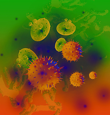 포토 JPG 해외이미지 의학 세포 사람없음 초록색 3D 주황색 질병 디지털합성 암 종양 해외포토 컬러 파일형식 이미지허브