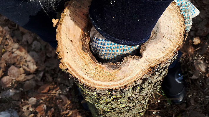 포토 JPG 해외이미지 나무 조각 백그라운드 패턴 오렌지 부분 자연 날씨 피자 풍경 사람없음 목재 여름 갈색 환경 검은색 어둠 장비 수확 성장 바위 흰색 시골 반지 소나무 원형 거친 중앙 큼 자르기 묘사 메뉴 에코 유기농 질감 내추럴 옛날 오리지널 중고 핵심 해외포토 도형 식물 웰빙 계절 컬러 무늬 농업 과일 재료 장신구 모션 패스트푸드 서양음식 돌_바위 크기 생태계 파일형식 이미지허브