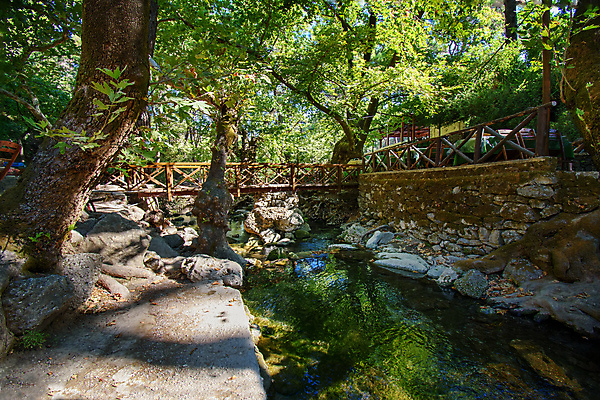 포토 JPG 해외이미지 나무 공원 여행 자연 휴가 휴식 사람없음 야외 초록색 물 여행객 봄 숲 그리스 그리스인 7 해외포토 자연요소 서양인 식물 계절 공공시설 유럽 컬러 컨셉 사람 숫자 생태계 파일형식 이미지허브