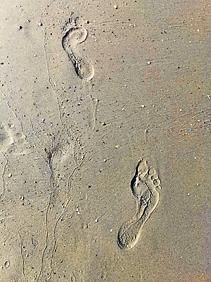 포토 JPG 해외이미지 라이프스타일 여자 행복 길 모래 파도 바다 섬 여행 백그라운드 컨셉 맨발 자연 휴가 휴식 사람 사람없음 야외 물 모래사장 태양 산책 자유 서핑 저녁 인쇄 발자국 묘사 오브젝트 단계 선로 양발 각인 해외포토 자연요소 감정 자국 발 생활 수상스포츠 야간 생태계 파일형식 이미지허브