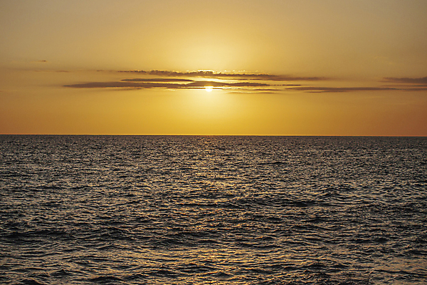 포토 JPG 해외이미지 나무 구름 모래 파도 바다 섬 여행 백그라운드 오렌지 태국 자연 하늘 아침 휴가 손바닥 풍경 사람없음 물 여름 파란색 햇빛 태양 일출 맑음 황혼 일몰 새벽 저녁 휴양지 하와이 장면 석호 바하마 이국적 파라다이스 수평선 해외포토 주간 자연요소 식물 손 계절 아시아 컬러 과일 날씨 노을 미국 장소 야간 생태계 파일형식 이미지허브