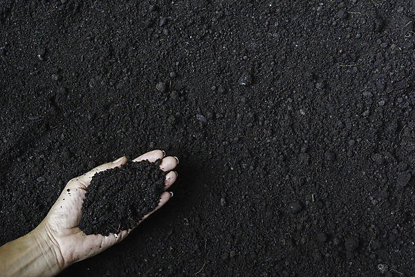 포토 JPG 해외이미지 손 지구 백그라운드 컨셉 패턴 밭 농업 자연 표면 사람없음 농장 갈색 환경 정원 흙 성장 흰색 신선 닫기 보호 땅 묘사 유기농 원예 질감 먼지 진흙 내추럴 고립 그런지 땅바닥 생태학 세련 해외포토 웰빙 교육 산업 컬러 무늬 모션 바닥 취미 신체부위 생태계 파일형식 이미지허브