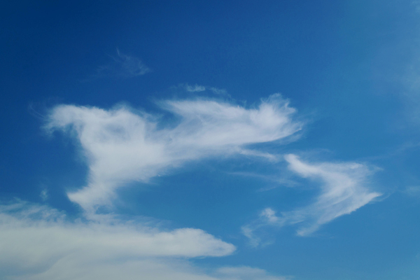 포토 JPG 해외이미지 구름 백그라운드 패턴 모션 자연 벽지 하늘 바람 날씨 추상 풍경 사람없음 야외 여름 파란색 빛 햇빛 태양 환경 침묵 봄 활발 자유 흰색 분위기 질감 장면 천국 내추럴 깊이 몽환 해외포토 자연요소 계절 컬러 컨셉 무늬 소리 생태계 파일형식 이미지허브