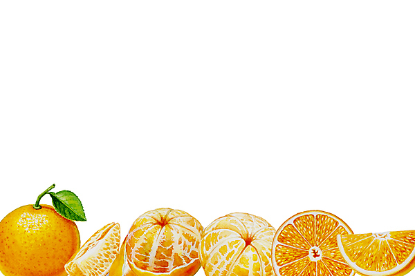 포토 JPG 해외이미지 디자인 배너 계절 음식 조각 백그라운드 오렌지 과일 일러스트 텍스트 휴가 디저트 수채화 건강 미술 사람없음 장식 여름 노란색 파티 세일 환경 주스 흰색 신선 원형 시장 아침식사 수집 먹기 레몬 메뉴 그림 유기농 질감 엽서 손그림 내추럴 고립 오리지널 카피스페이스 해외포토 도형 웰빙 음료 컬러 모션 문화예술 이벤트 식사 공백 편지 파일형식 이미지허브