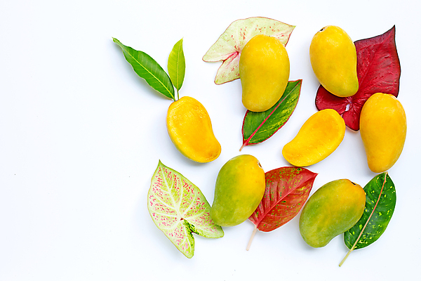 포토 JPG 해외이미지 잎 단면 실내 사람없음 여러개 열대과일 흰배경 슬라이스 망고 해외포토 식물 다수 백그라운드 과일 내부 흰색 파일형식 이미지허브