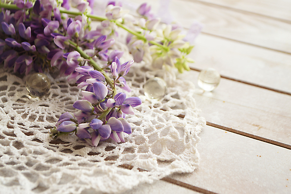 포토 JPG 해외이미지 실내 근접촬영 사람없음 구슬 라일락 해외포토 꽃 뷰포인트 내부 파일형식 이미지허브