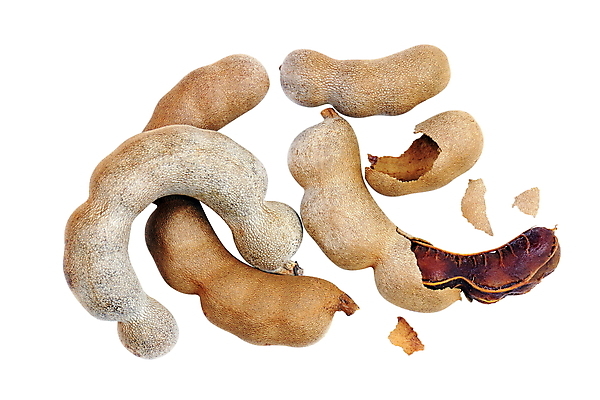 포토 JPG 해외이미지 음식 잎 곡선 채소 과일 재료 태국 자연 디저트 콩 건강 요리 씨앗 사람없음 가로 빨간색 초록색 농작물 갈색 껍질 흰색 신선 오픈 그룹 시장 달콤 맛 먹기 오브젝트 유기농 날것 내추럴 고립 숙성 식용 이국적 채식주의자 해외포토 식물 웰빙 아시아 선 컬러 컨셉 농업 모션 곡류 생태계 채식 파일형식 이미지허브