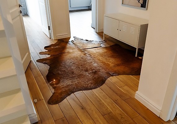 포토 JPG 해외이미지 동물 산업 가구 자연 바닥 주택 털 실내 사람없음 내부 장식 인테리어 갈색 카펫 시골 도시 복도 소 고급 우아함 가죽 학대 피부 황소 합성 초대 브라질 숨김 내추럴 양모 거짓 서쪽 소가죽 스칸디나비아 특별함 스타일 해외포토 디자인 컬러 생활용품 컨셉 포유류 건물 신체부위 직물 남아메리카 방향 사회이슈 생태계 파일형식 이미지허브