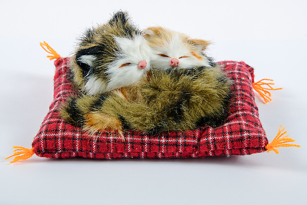 포토 JPG 해외이미지 동물 디자인 분홍색 백그라운드 쿠션 2 사탕 선물 사람없음 컬러풀 장난감 바구니 고양이 흰색 작음 바느질 만화 설탕 오브젝트 부드러움 폭식 고립 핸드메이드 해외포토 컬러 포유류 디저트 반려동물 감각 크기 파일형식 이미지허브