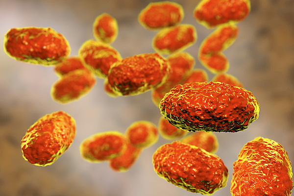 포토 JPG 해외이미지 일러스트 건강 사람없음 3D 고통 질병 감염 전염 미생물 박테리아 기침 해외일러스트 감정 의학 생물 디지털합성 파일형식 이미지허브