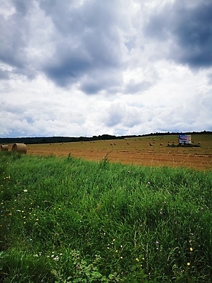 포토 JPG 해외이미지 나무 식물 구름 디자인 백그라운드 밭 인터넷 가족 자연 하늘 추상 사랑 서기 사람 풍경 사람없음 야외 건물 초록색 물 파란색 친구 노트북 스마트폰 울타리 강 사무실 농장 걷기 그룹 승차 큼 책상 사인 질감 고립 대패 돌봄 평야 해외포토 자연요소 건축물 감정 컬러 가구 무늬 농업 비즈니스 관계 모션 전자제품 핸드폰 스마트기기 담장 크기 생태계 파일형식 이미지허브