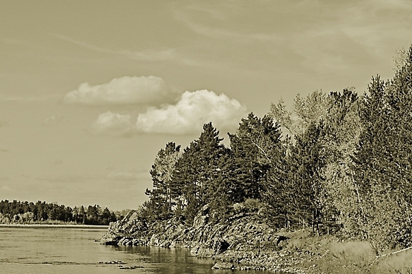 포토 JPG 해외이미지 나무 구름 커플 행복 얼굴 여행 백그라운드 밭 비즈니스 가족 자연 하늘 서기 사람 풍경 사람없음 야외 물 강 사무실 기차 양 그룹 승차 큼 방목 책상 고립 넘어짐 선로 옛날 해외포토 자연요소 식물 감정 육상교통 가구 농업 포유류 관계 모션 대중교통 신체부위 축산업 크기 생태계 파일형식 이미지허브