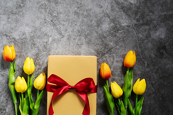 포토 JPG 해외이미지 전통 계절 꽃 행복 별 리본 백그라운드 컨셉 크리스마스 겨울 휴가 새해 기념 선물 이벤트 사람없음 장식 빨간색 선물상자 쇼핑 상자 갈색 세일 상점 놀람 권투 수확 시골 축하 인사 12월 활 복고 시멘트 환영 마법 온라인 그만 마지막 특별함 제의 해외포토 자연요소 식물 기념일 감정 컬러 농업 표정 격투기 예절 날짜 파일형식 이미지허브