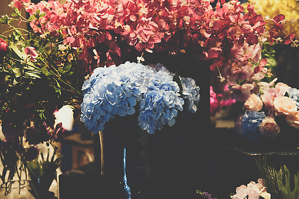 포토 JPG 해외이미지 식물 꽃 꽃다발 꽃무늬 비즈니스 선물 사람없음 장식 상점 벚꽃 신선 작음 다발 배열 서비스 매각 해외포토 무늬 크기 파일형식 이미지허브