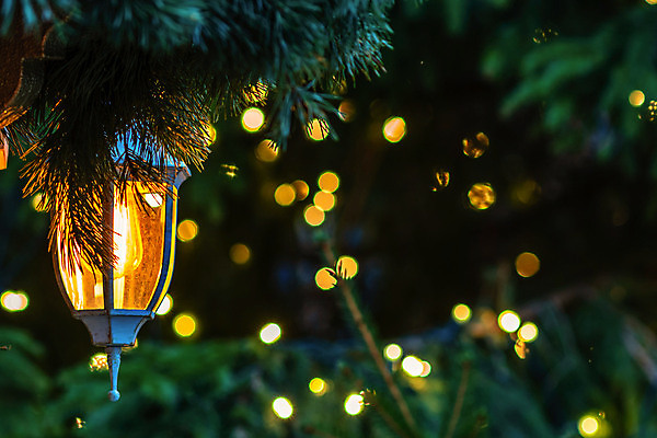 포토 JPG 해외이미지 나무 전통 디자인 계절 행복 리본 백그라운드 크리스마스 겨울 공 벽지 휴가 전등 새로움 사람없음 장식 빨간색 빛 파티 축제 화환 나뭇가지 등불 축하 인사 소나무 신용카드 황금 닫기 연도 심볼 고립 주도 카피스페이스 해외포토 식물 기념일 꽃 감정 컬러 컨셉 모션 조명 이벤트 금융 공백 예절 파일형식 이미지허브