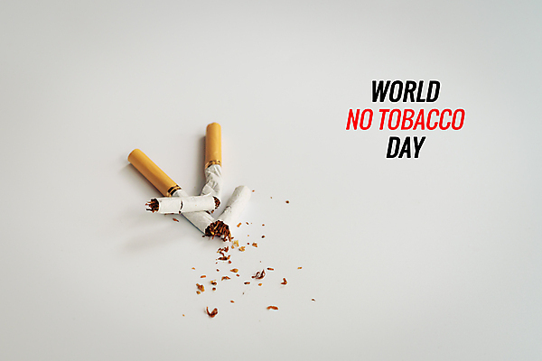 포토 JPG 해외이미지 스튜디오촬영 타이포그라피 사람없음 공익캠페인 금연 담배꽁초 금연데이 해외포토 문자 기념일 캠페인 담배 실내 사회이슈 파일형식 이미지허브