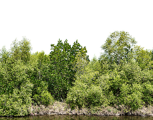 포토 JPG 해외이미지 나무 식물 디자인 계절 공원 꽃 호수 백그라운드 컨셉 잎 밭 자연 아침 미술 풍경 잔디 사람없음 야외 목재 초록색 물 여름 일출 환경 정원 침묵 봄 수확 흰색 연못 신선 보트 떨어짐 숲 언덕 내추럴 뿌연 옛날 해외포토 주간 자연요소 공공시설 컬러 농업 배_교통 재료 문화예술 노을 소리 생태계 파일형식 이미지허브