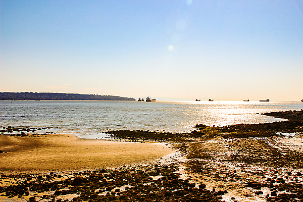 포토 JPG 해외이미지 구름 공원 실루엣 모래 파도 바다 캐나다 북아메리카 요트 데이트 가족 관계 자연 조류 하늘 휴가 영국 사람 풍경 사람없음 야외 두명 가로 물 여름 파란색 컬러풀 태양 사진촬영 미국 황혼 도시 콜롬비아 태평양 북쪽 벤쿠버 잔물결 수평선 해외포토 자연요소 동물 계절 공공시설 유럽 물결 컬러 배_교통 촬영기법 아메리카 촬영 일몰 남아메리카 방향 생태계 파일형식 이미지허브