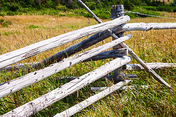 포토 JPG 해외이미지 전통 밭 자연 날씨 프레임 건조 사람없음 야외 목재 초록색 울타리 목장 회색 수확 골동품 경계선 시골 거친 재산 모서리 장애물 복고 대문 각도 통나무 잡동사니 내추럴 구식 방목장 사생활 수목 옛날 핸드메이드 해외포토 나무 선 컬러 농업 재료 금융 담장 문 경계 생태계 파일형식 이미지허브