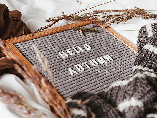 포토 JPG 해외이미지 식물 영어 옷 액자 실내 액자틀 사람없음 장식 가을 소프트포커스 천 니트 해외포토 문자 계절 상의 촬영기법 틀 내부 직물 파일형식 이미지허브