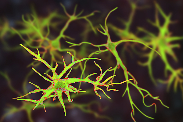 포토 JPG 해외이미지 일러스트 세포 사람없음 3D 회색 보호 질병 뇌 생물학 문제 면역력 지원 해외일러스트 교육 컬러 컨셉 의학 디지털합성 파일형식 이미지허브